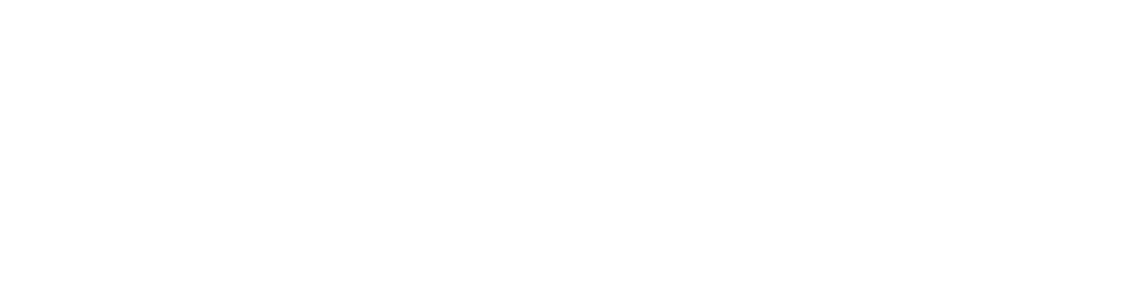 logo tpp_white.png